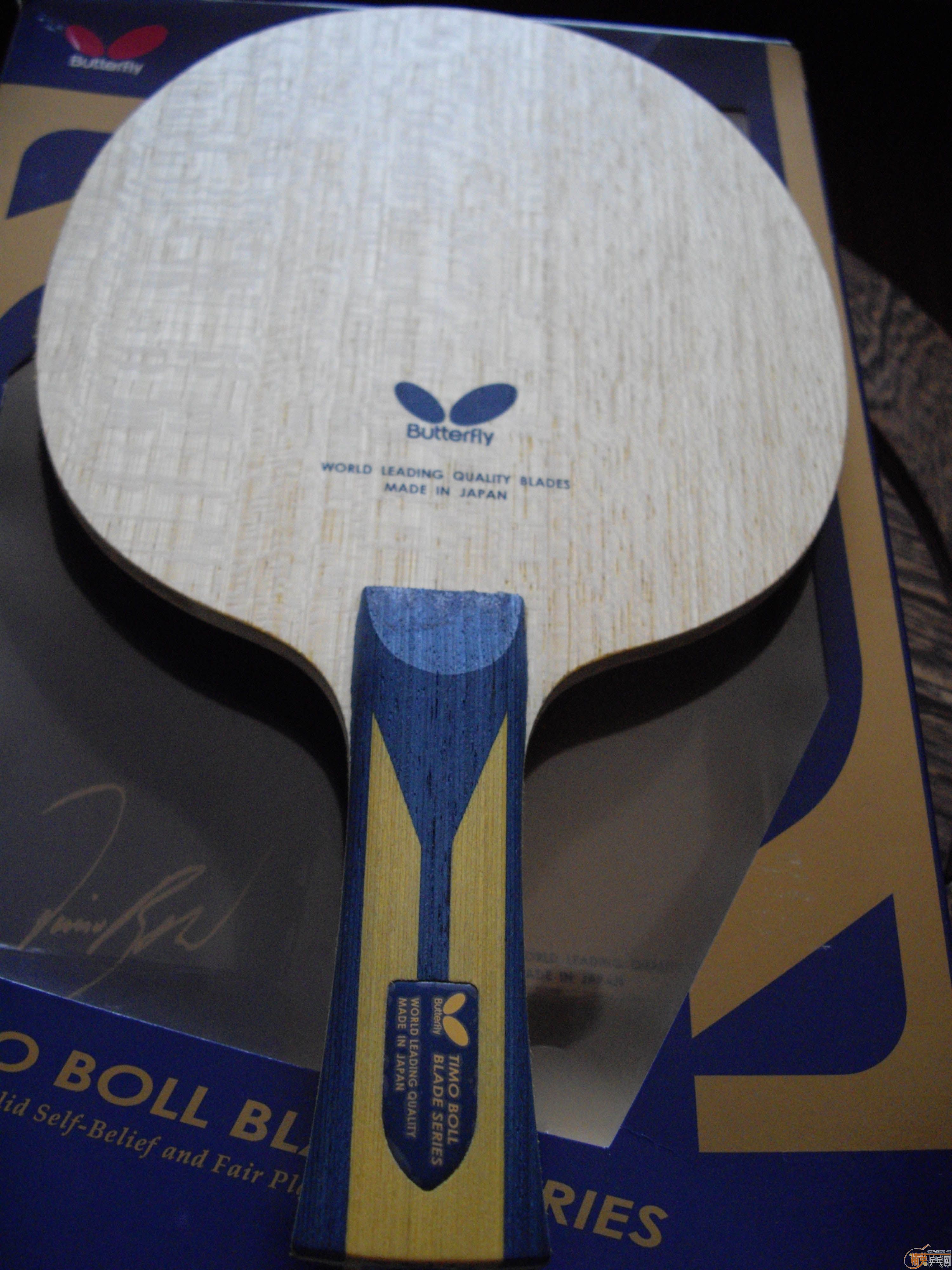 ��������ZLF