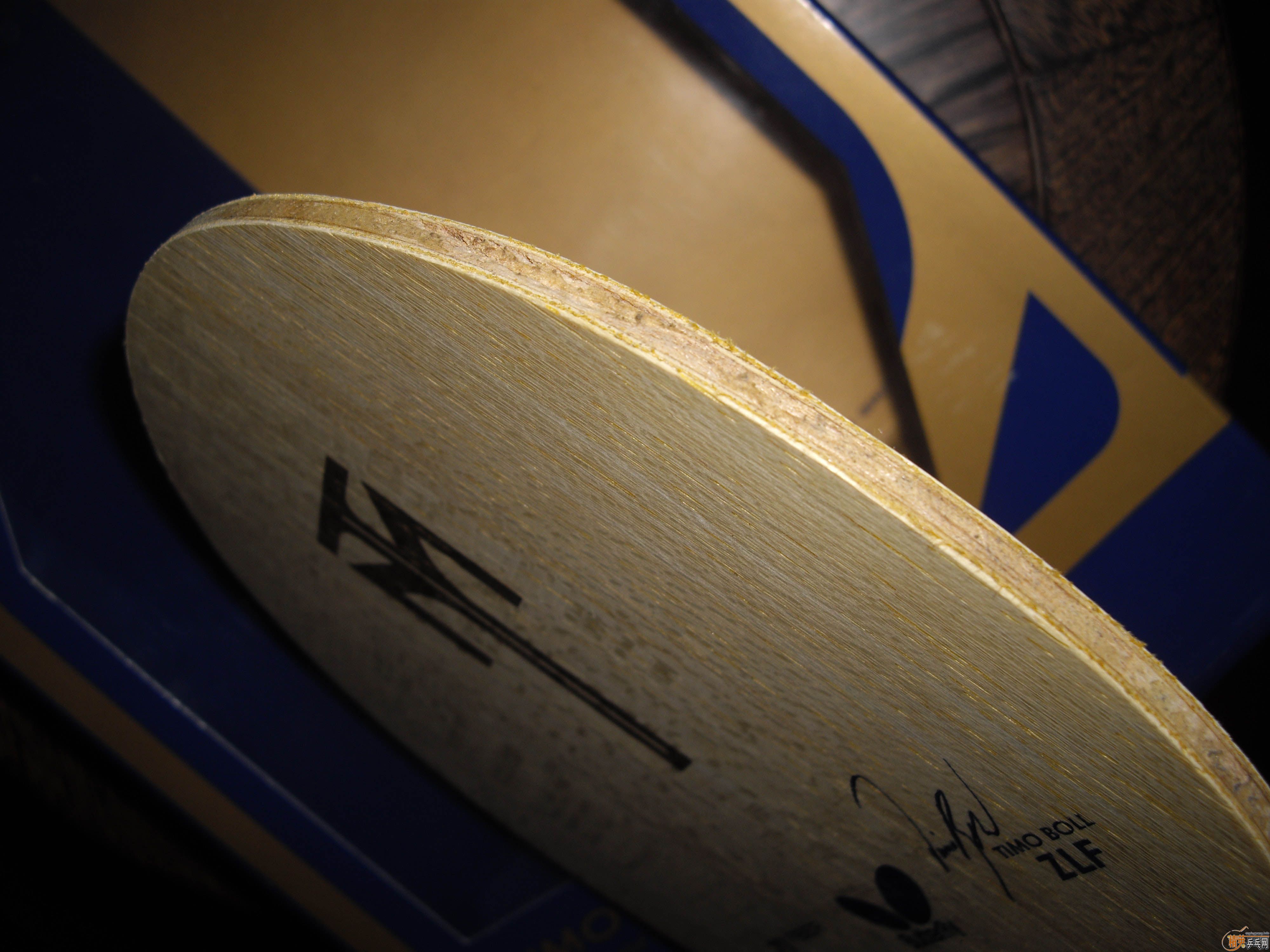 ��������ZLF