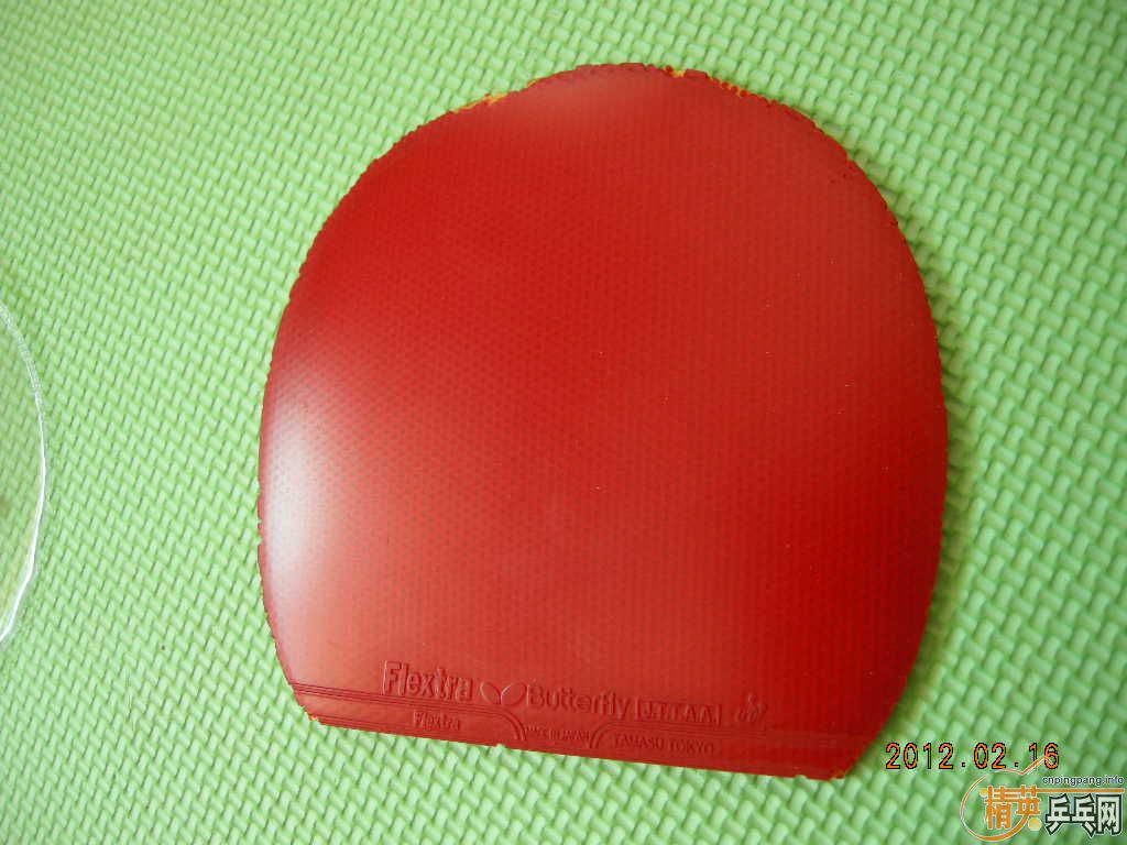 ������ͦ����̼�װ��39��ʡ��С����