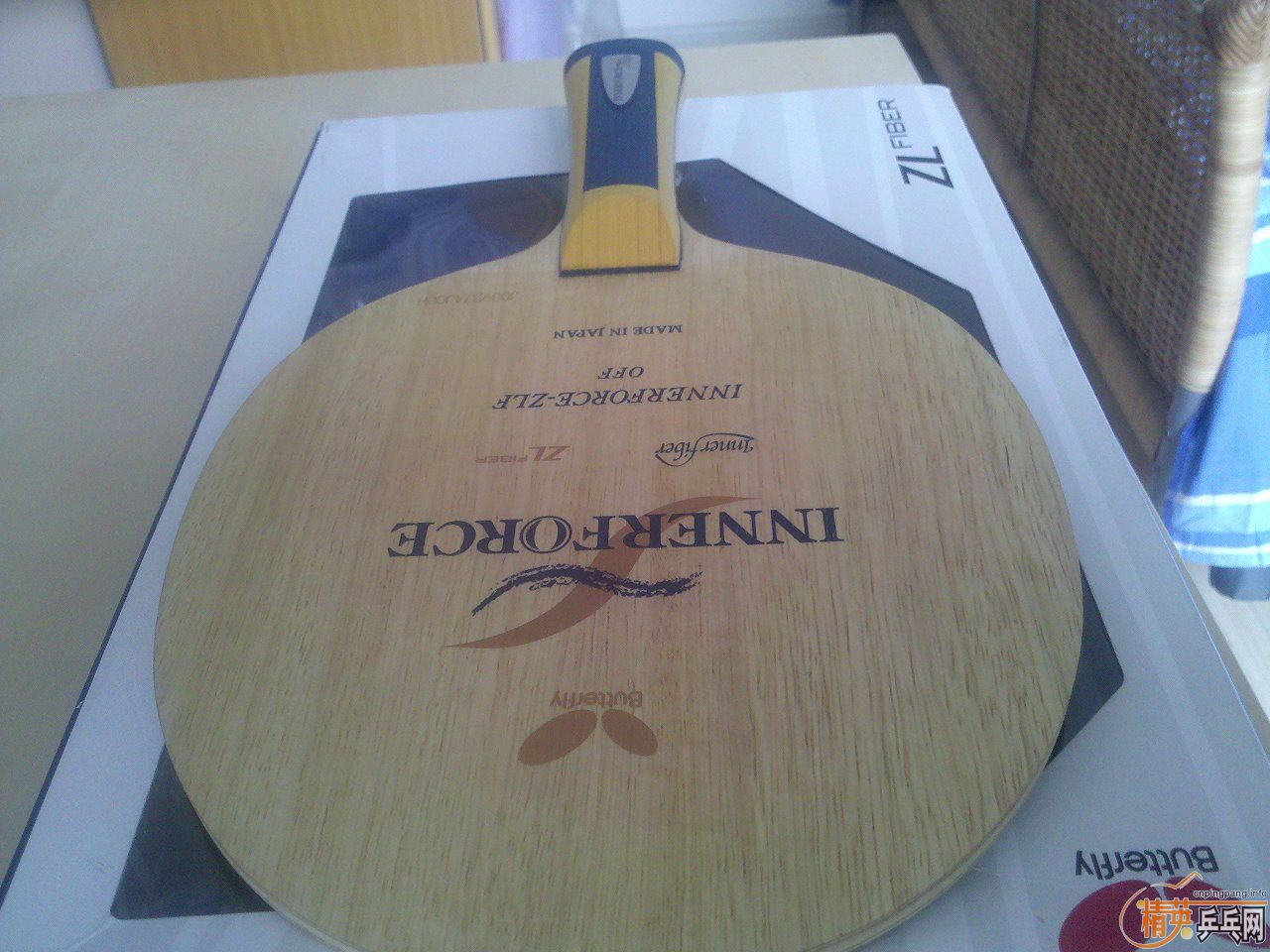 [����]��������ල�������롰�꼾������������һֻINN ZLF FL������