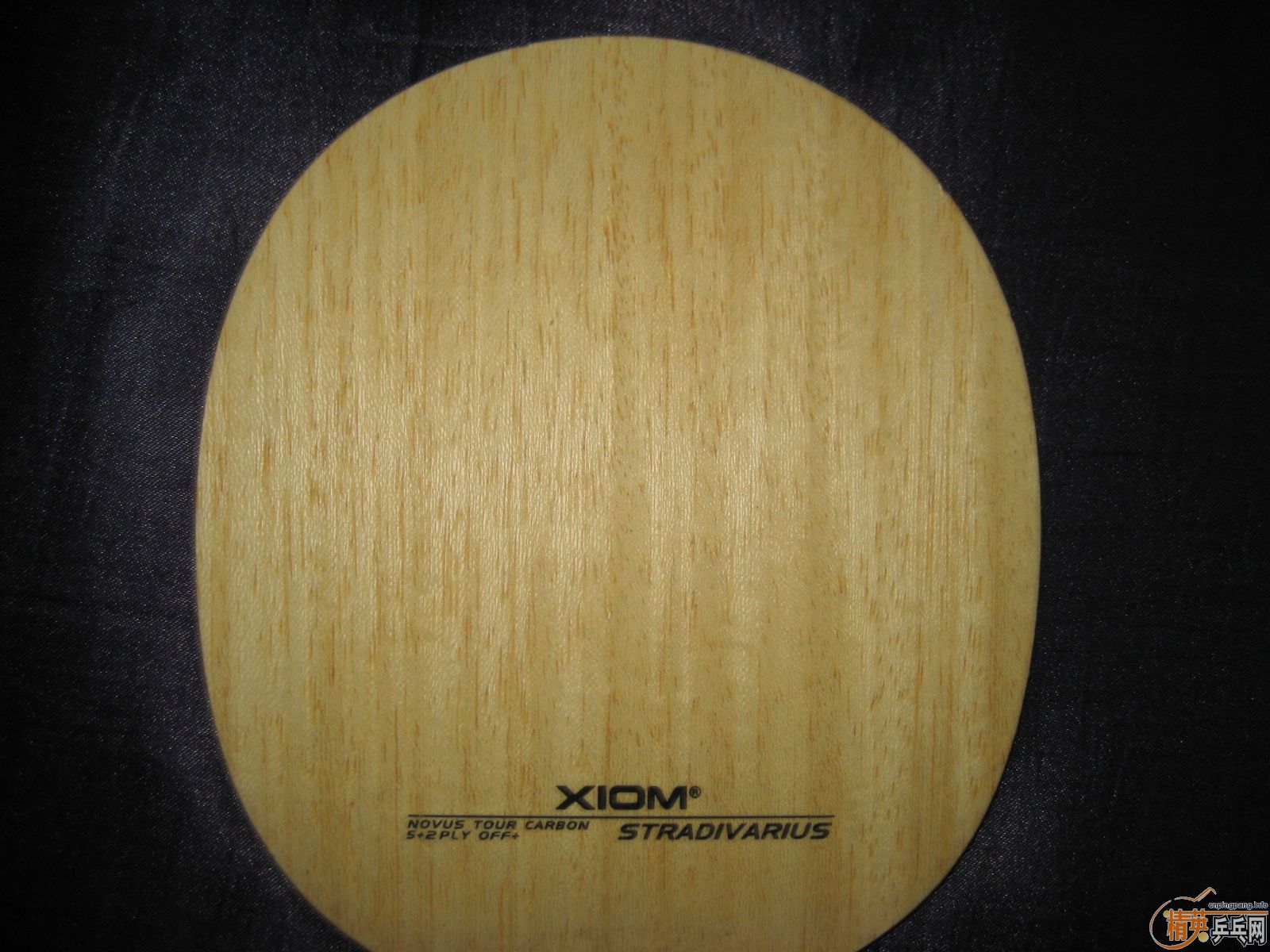 ʱ������ ������ ͦ��aurus�� sinus alpha