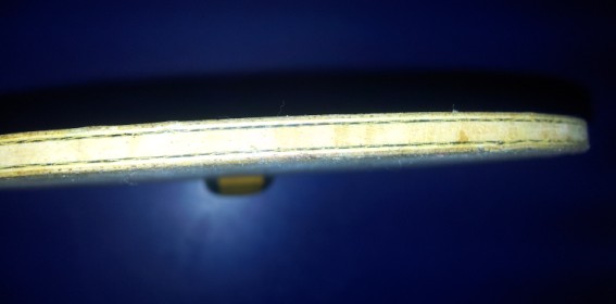 ֧������ֻ������ZLC+08ʡ��+����ͷ��