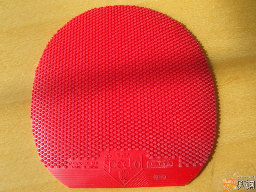 ��CL.EG.�����¾���TSP��������