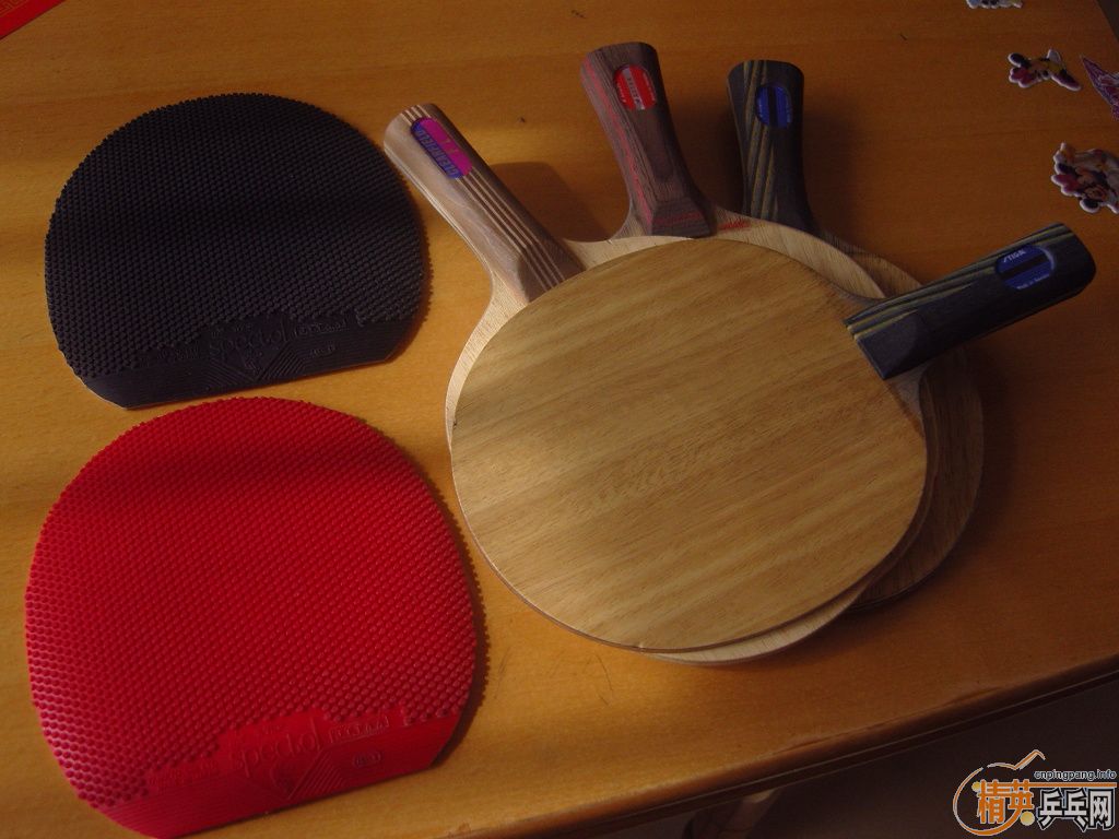 ��CL.EG.�����¾���TSP��������