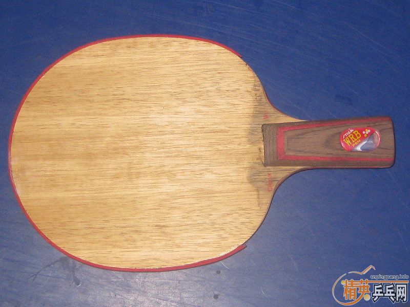 �Ʊ�CL ��ɫ�ų����ϰ� ��������  450����