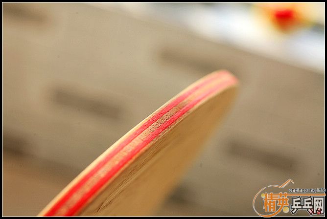 �Ʊ�CL�������׽�