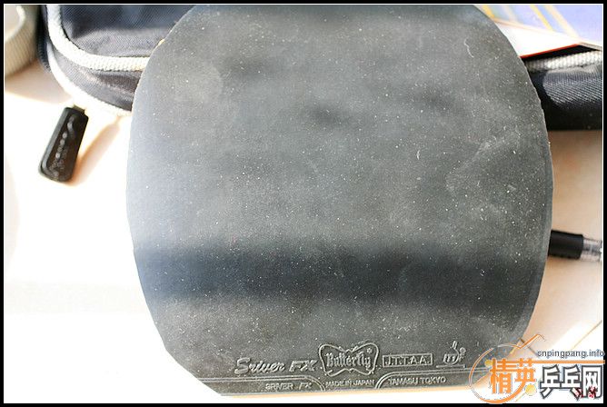 �Ʊ�CL�������׽�