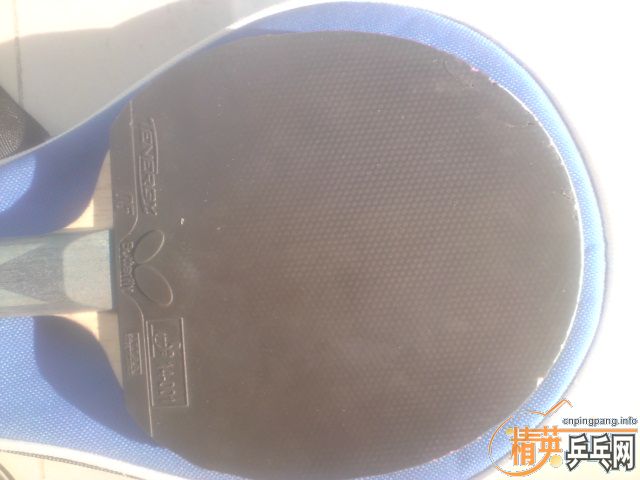 ������ALC ST����ɫT05����ɫ����X1