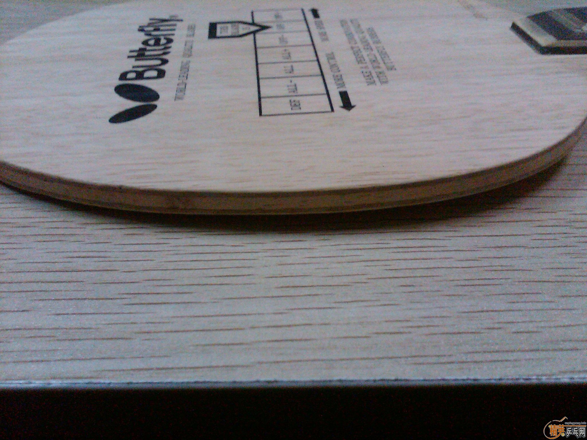 �Ͽ�+���� ��� ����ͼƬ��������Ƭ��300Ԫ���� ���߻������