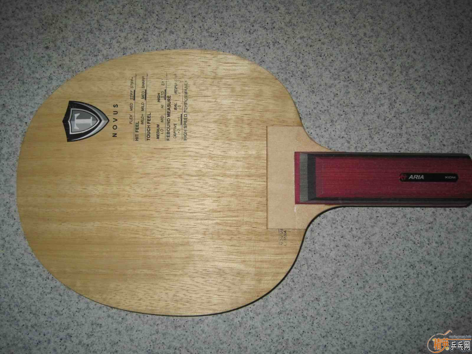 ͣ