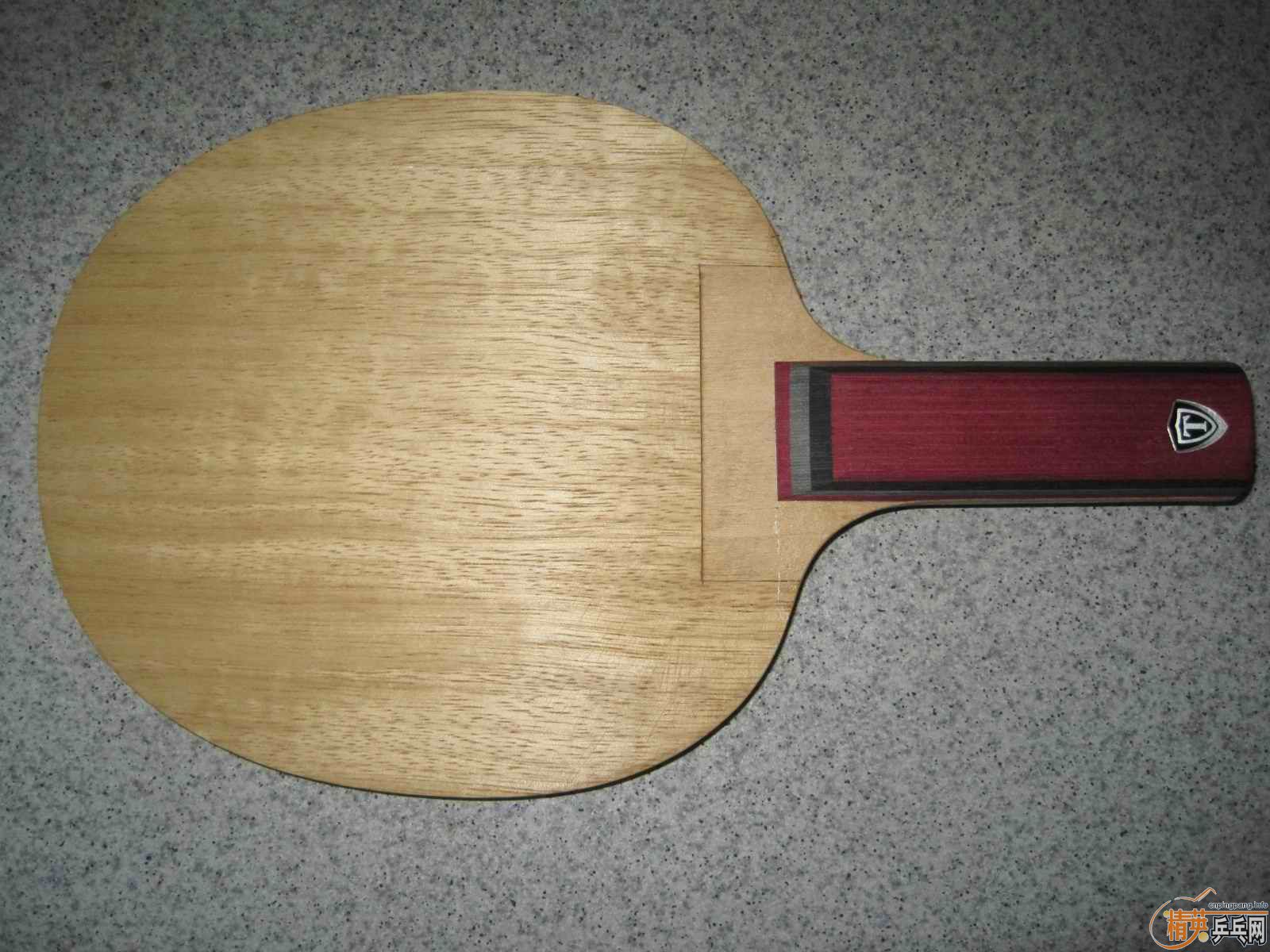 ͣ