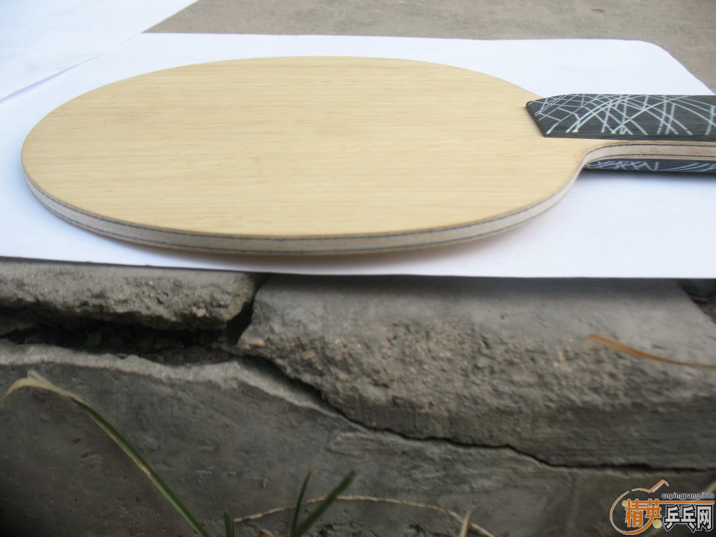 [ԭ��]�����ѳ�һ����̼֩������ֻ��һ�Σ�����30����