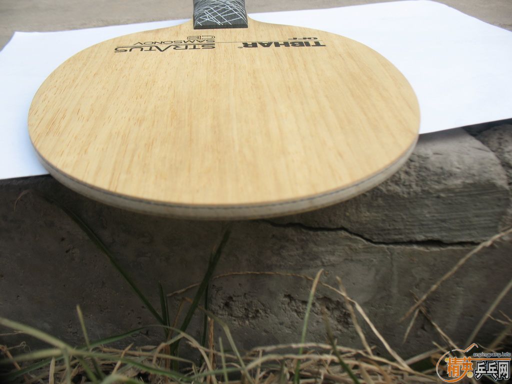 [ԭ��]�����ѳ�һ����̼֩������ֻ��һ�Σ�����30����