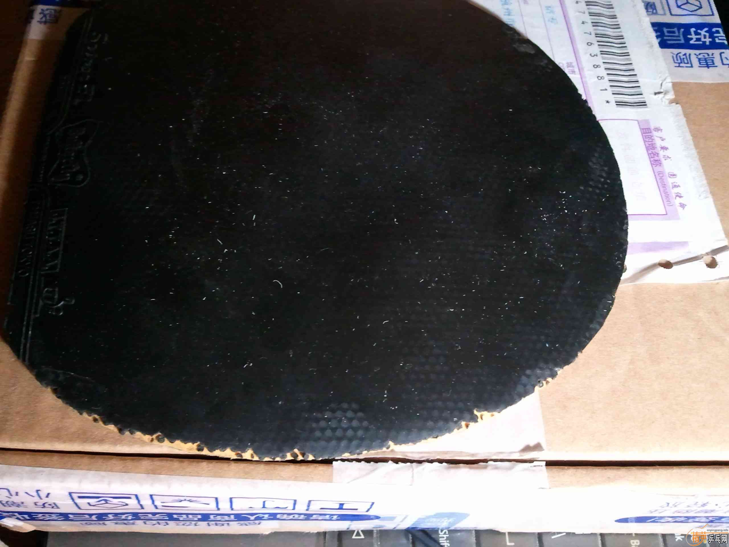 62���ʳ�sriver-el