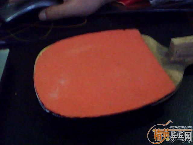 ���ϸ��������ֱ��Ƥ  T64