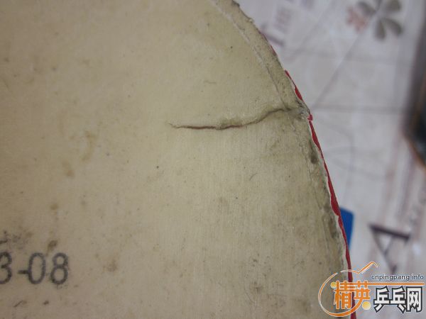 ��YASAKA YEO��YE3D ֱ��  ֧��������