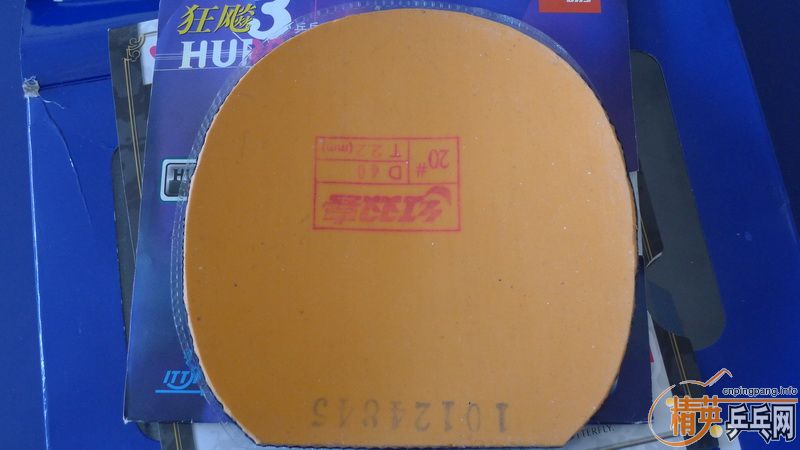 (ѾȫˣллɫõT05T64ʡ񡢹ɵ