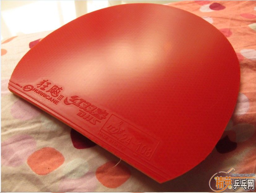 ���ѳ�99��ֱ����������칭��