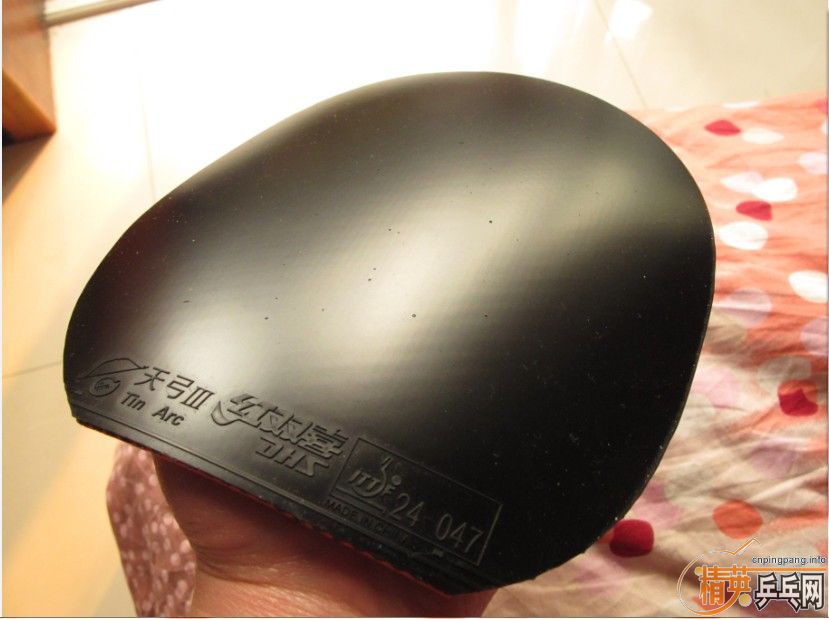 ���ѳ�99��ֱ����������칭��