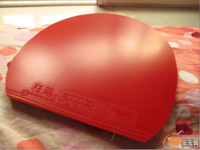 ���ѳ�99��ֱ����������칭��