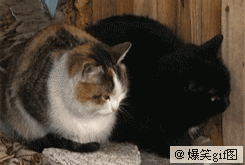 <FONT color=#FF00FF size=4><STRONG>>[ˮ]̳!</STRONG></FONT>