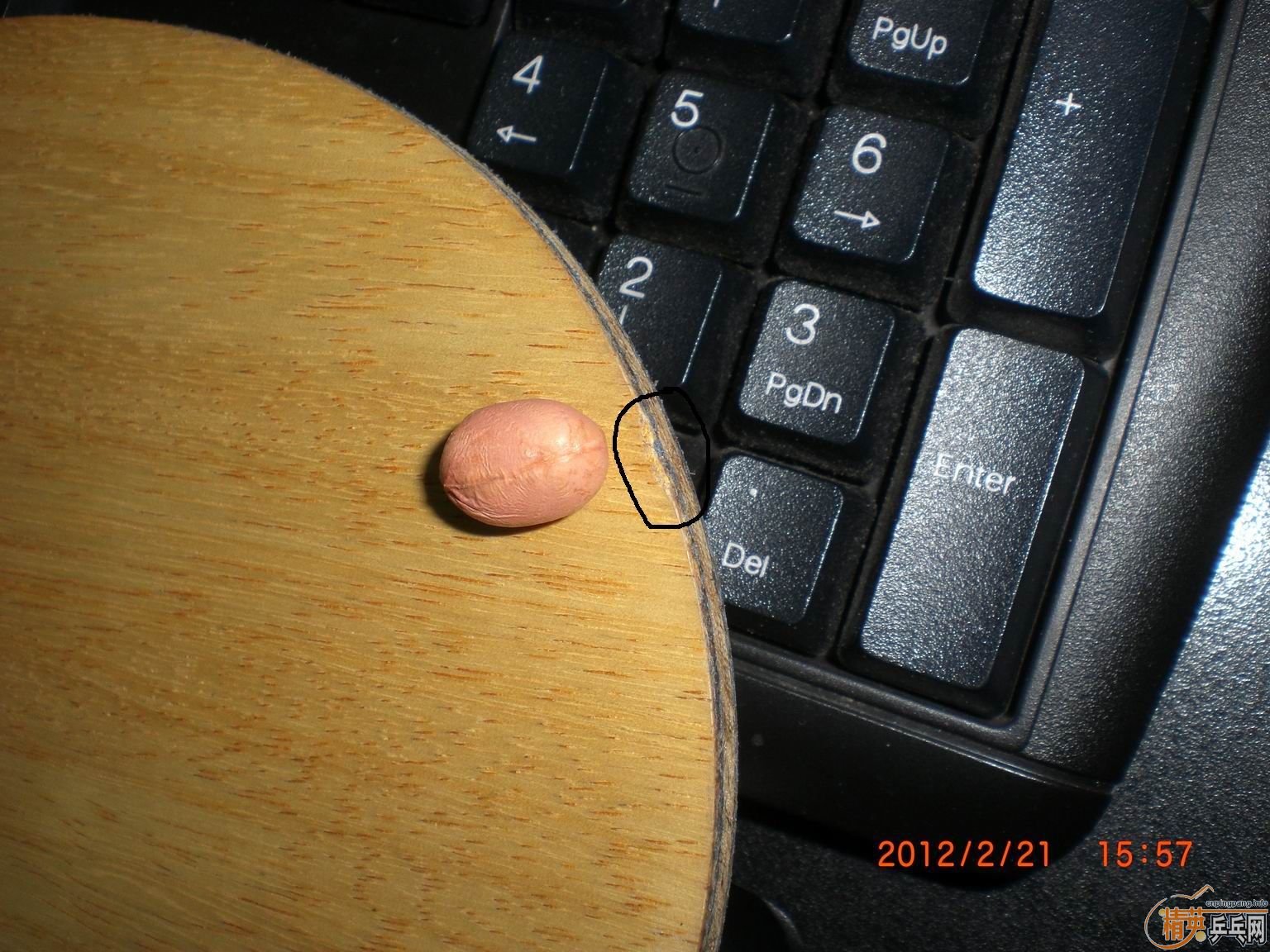 ��һֻst��̼��һֻ�л�����oc