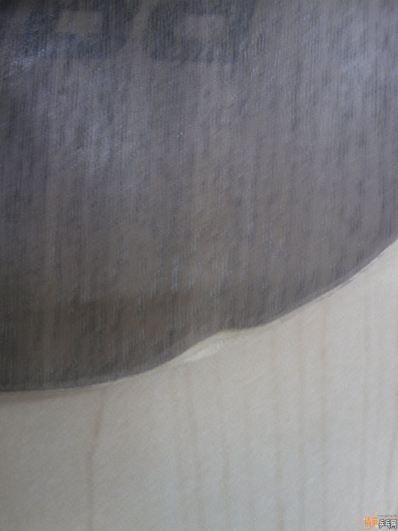 ��������˵�ѵ���࣬100Ԫ����Ǯ������