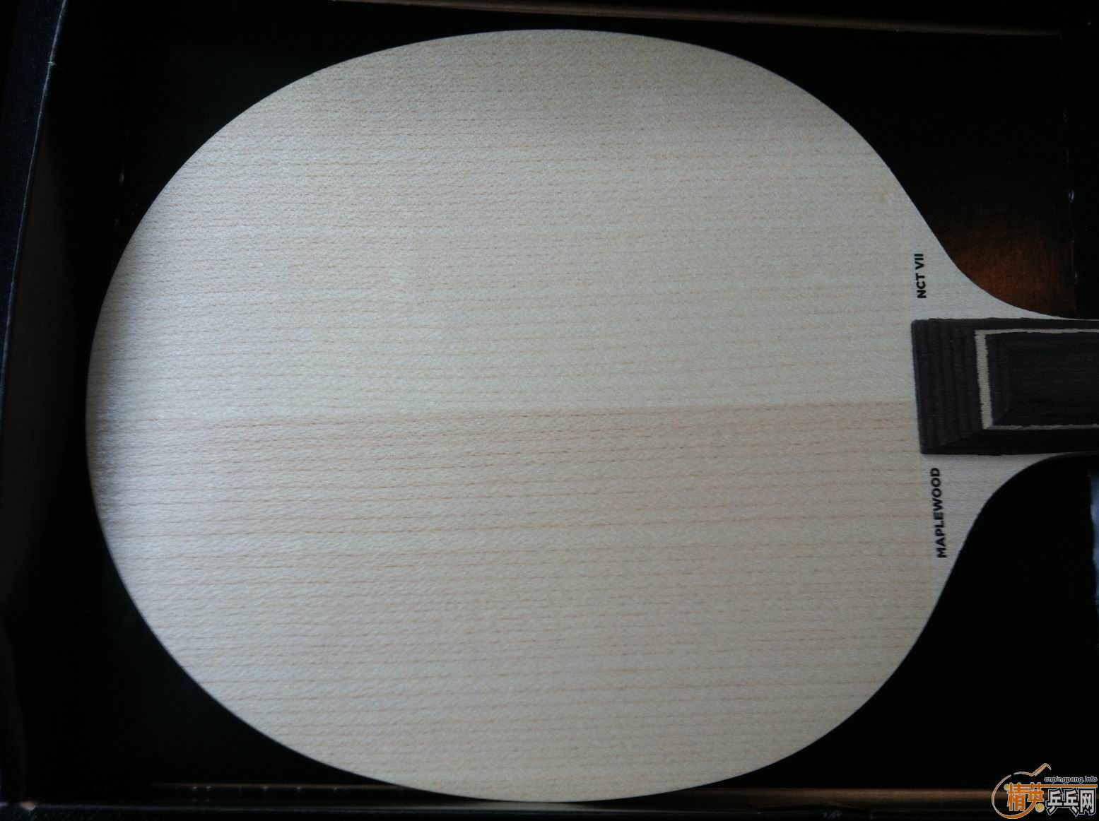 ��������STIGA MAPLEWOOD NCT VII��ľ��