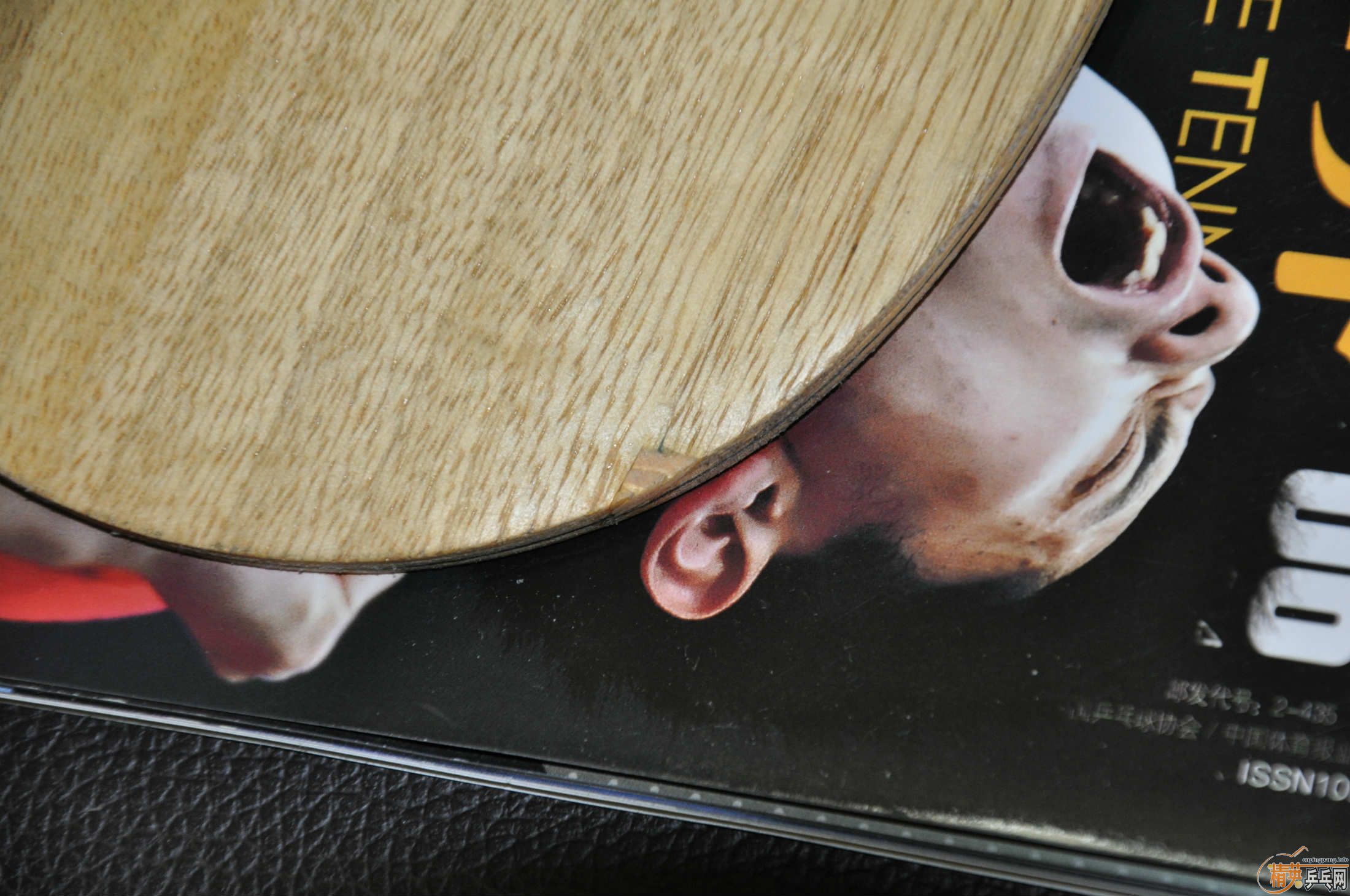 ������ yo