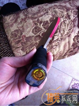 ������ ʡ��  ����zlc