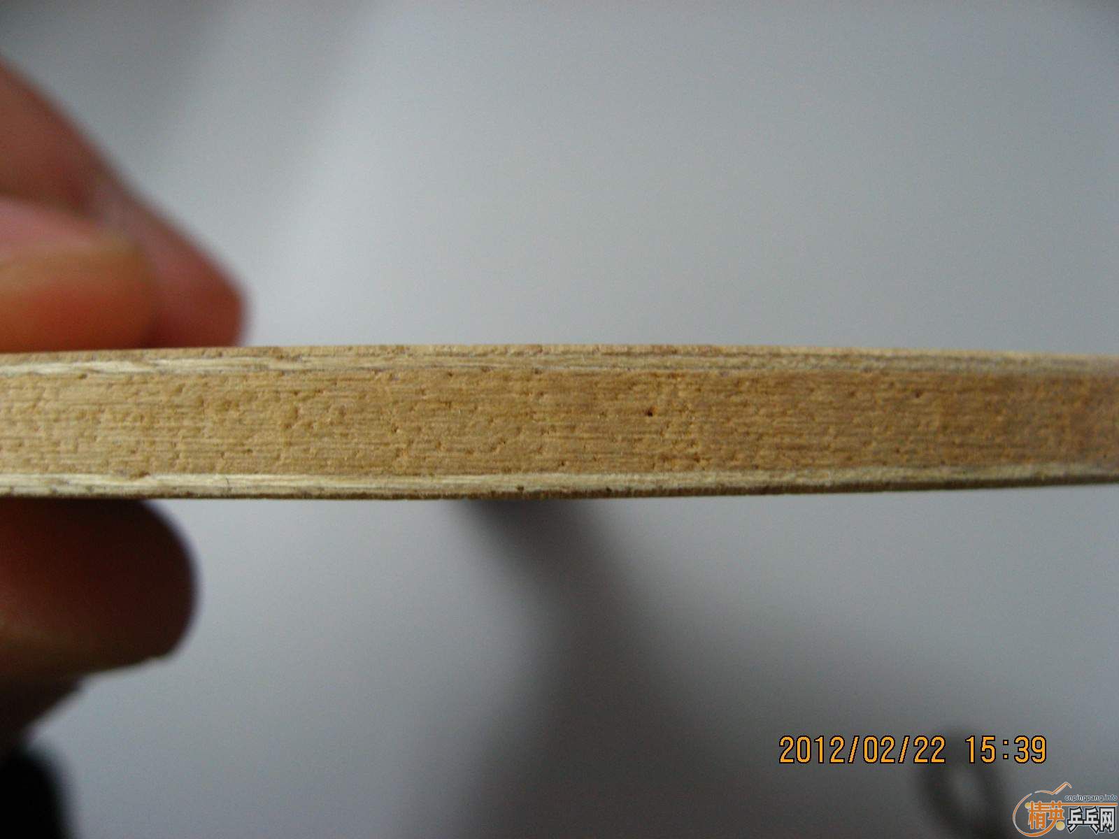 �������EG����������bizelox��ͼ����