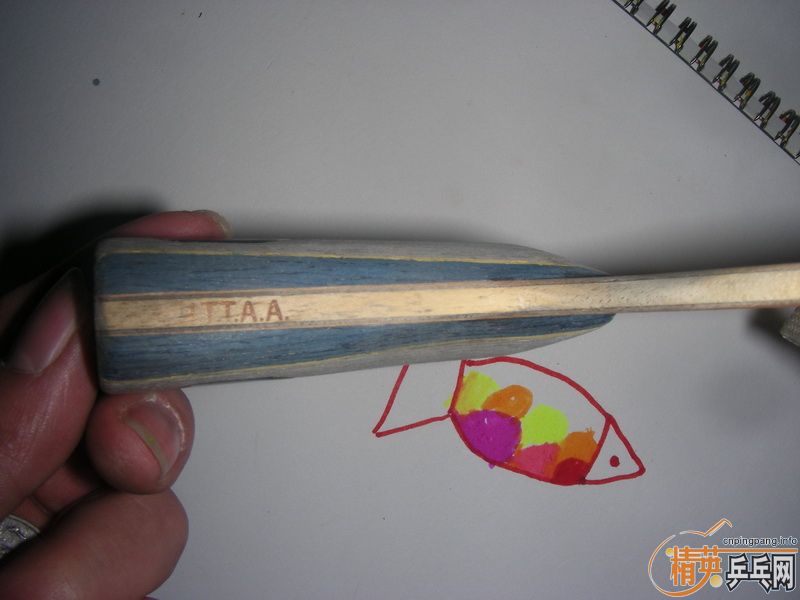 ���������ѳ��壬�°��л�����ֱ�� 86�� ���л�YEO ֱ��79��