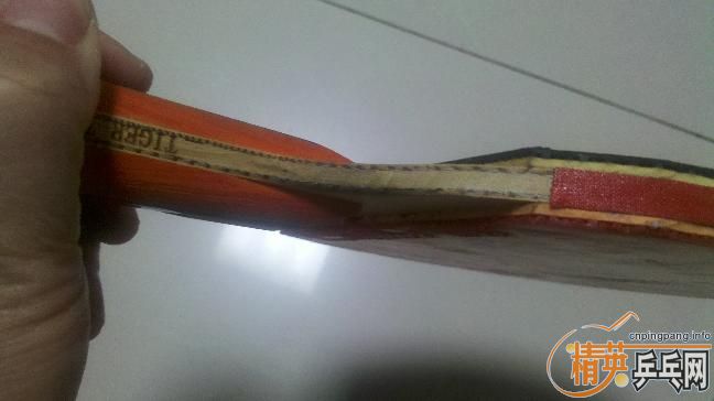 ��������ά����װ�