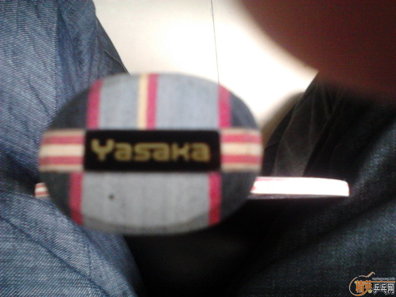 ��9.95����������YESֱ��