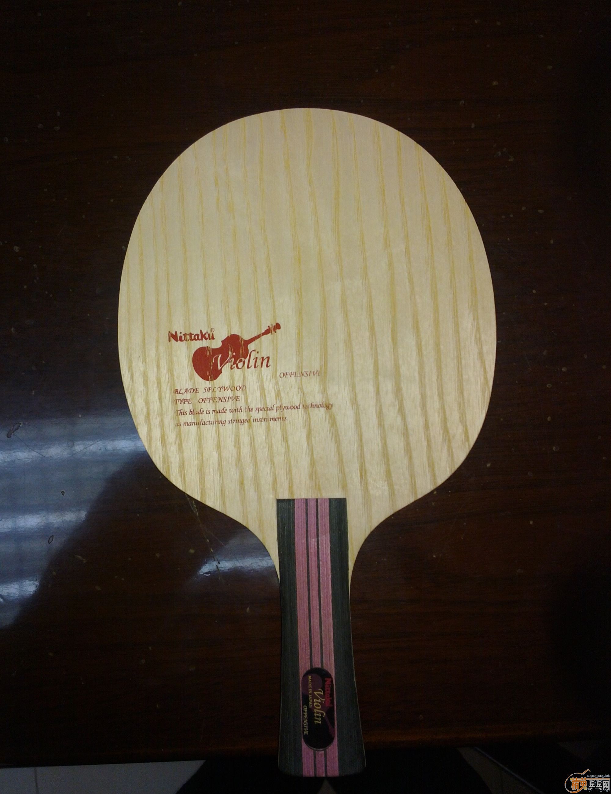 ����FL��С���٣�9.5����