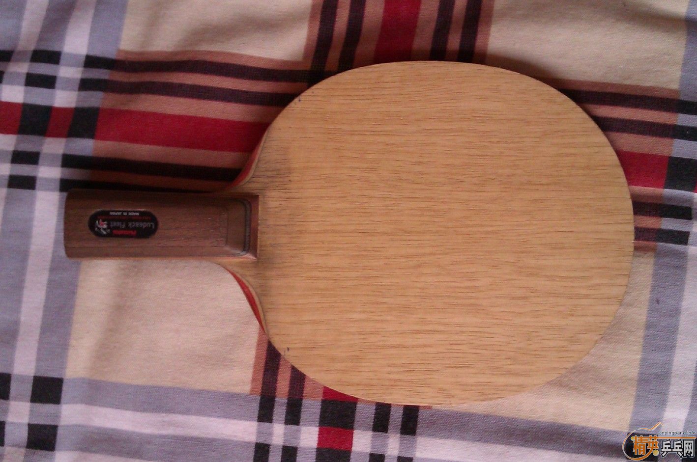 ������+����....С����+���� �����߻�