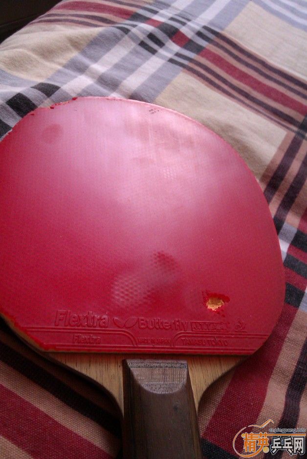 ������+����....С����+���� �����߻�