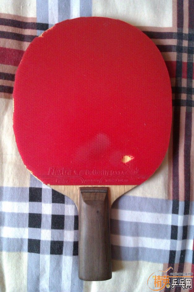 ������+����....С����+���� �����߻�