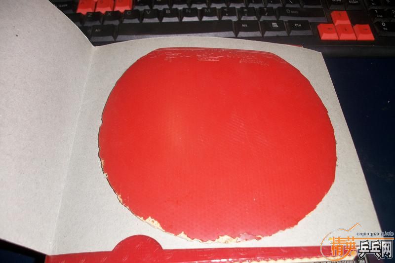 ��һ�Ѱײ�Ƥ ���ֽ��� ����˦�� ���ֲ��� ��������