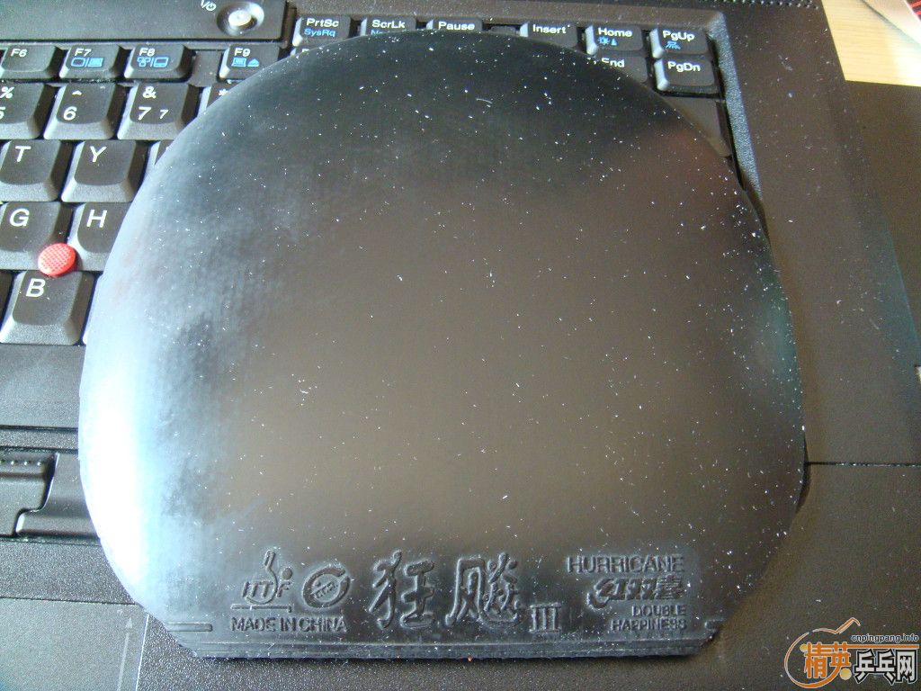[ѳ]˳ͷ׽Լ۱ȸ~  NEOʡSRIVER ELտHK1997ɬ729-08ES~