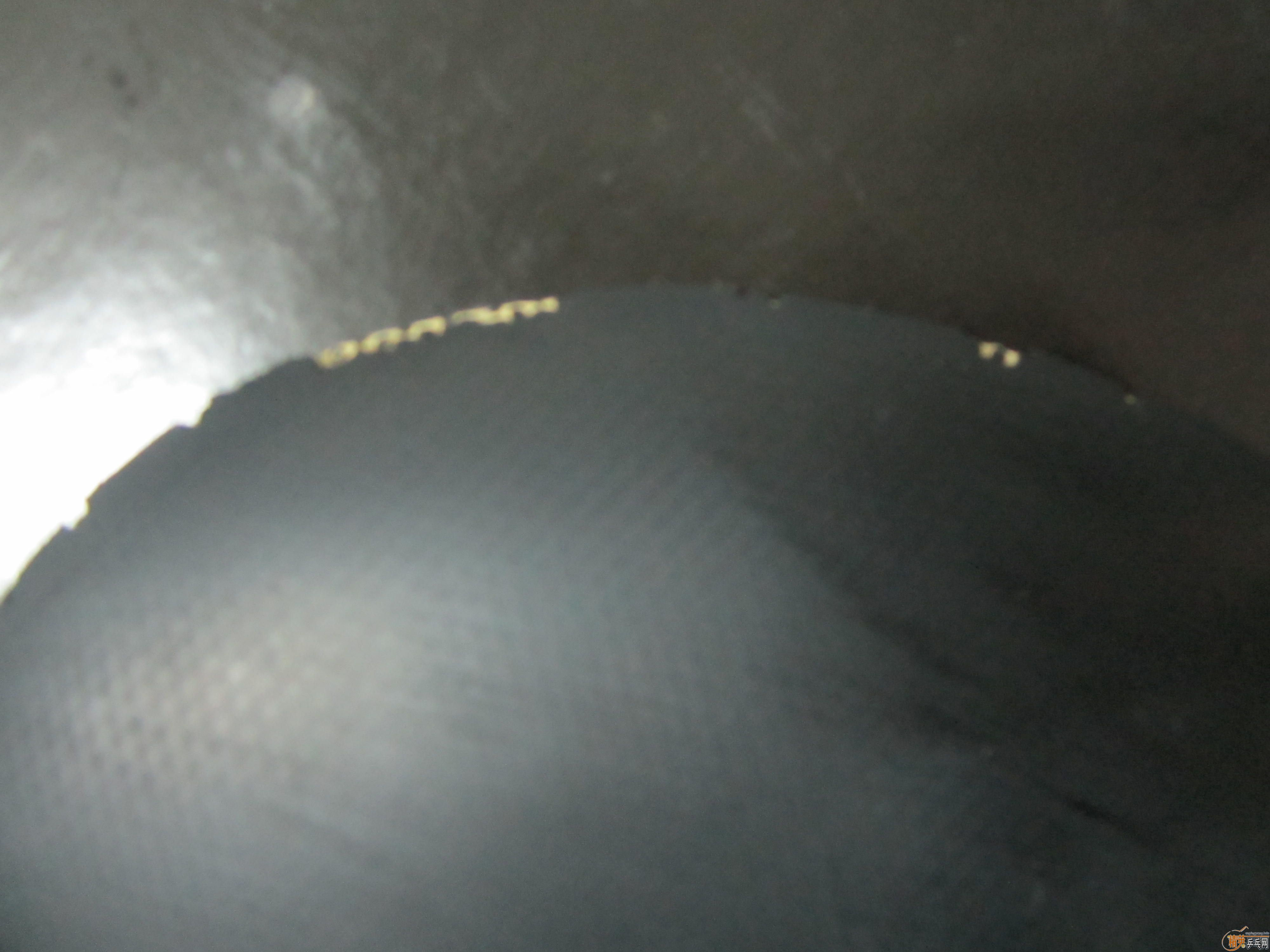 ������ŷ�޴������� ������壬÷�Ȳ��ˣ�ʩ����̼�أ������̼�أ���ֻ������Σ�FL��΢�