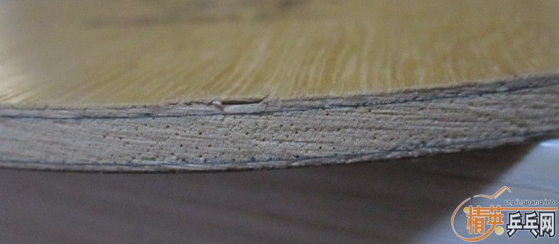 ���л�����̼������