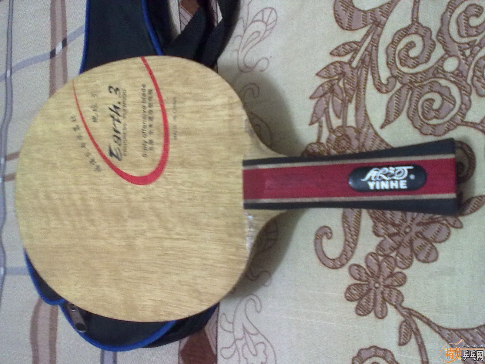 ���˴���������