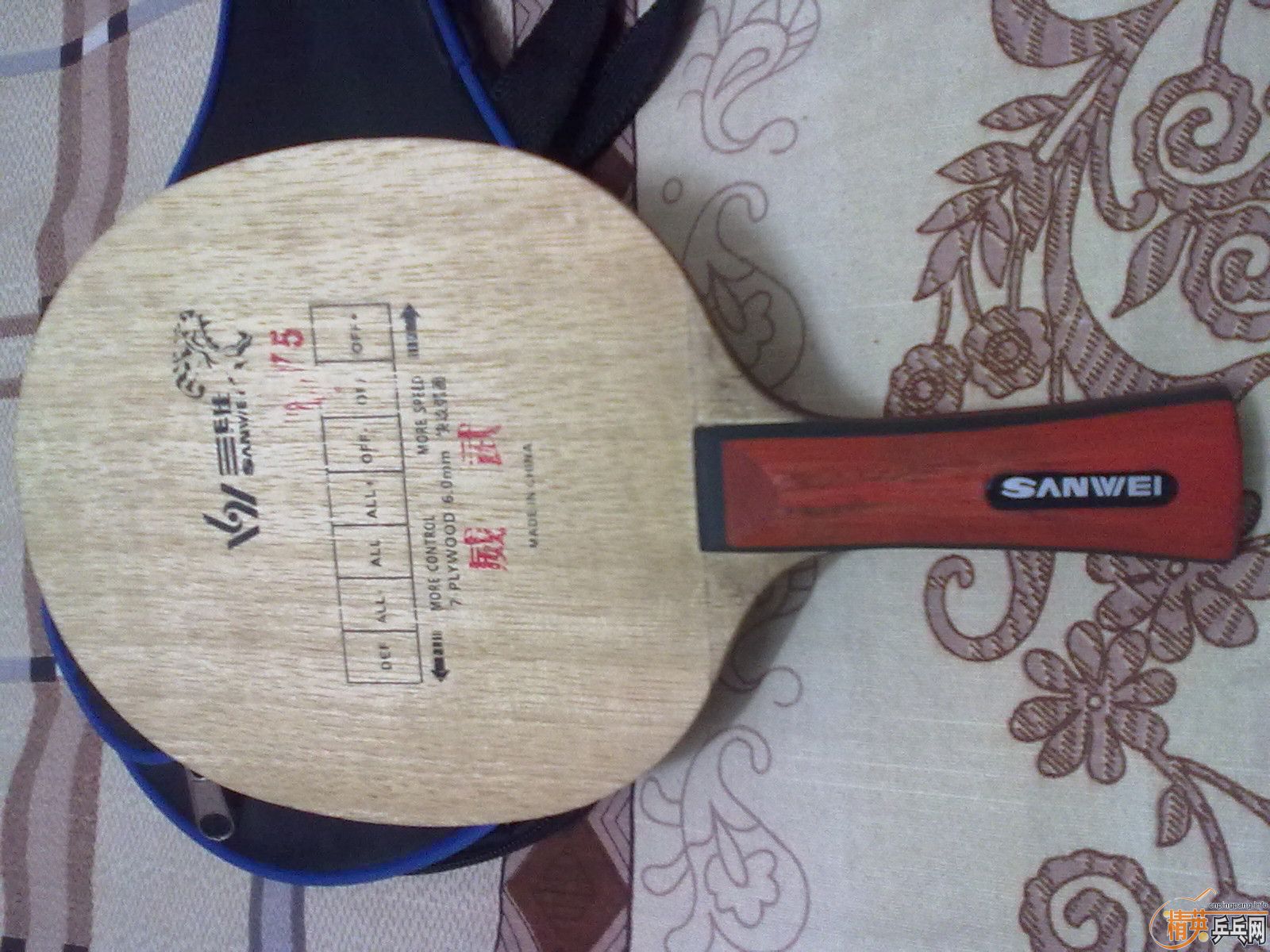 ���˴���������