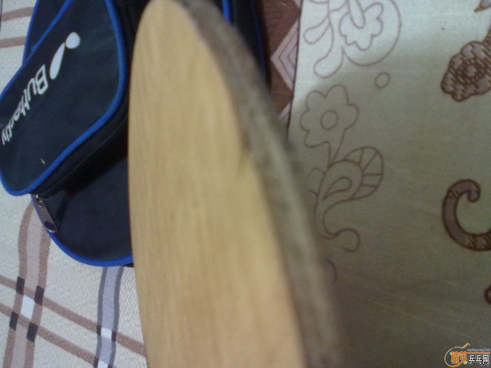 ���˴���������