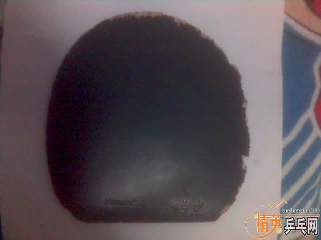 ���� ���� EL ���˴����� ����ɡ�����