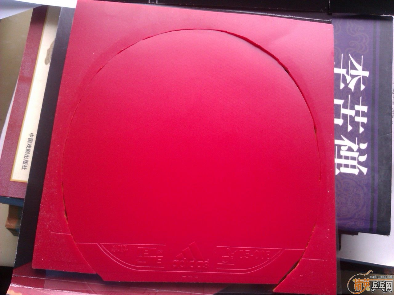 ���һ������ ��ϵ���⺣���׽� ����P5 �� TENZONE