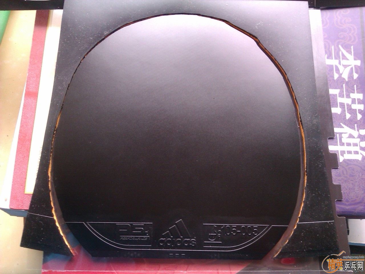 ���һ������ ��ϵ���⺣���׽� ����P5 �� TENZONE