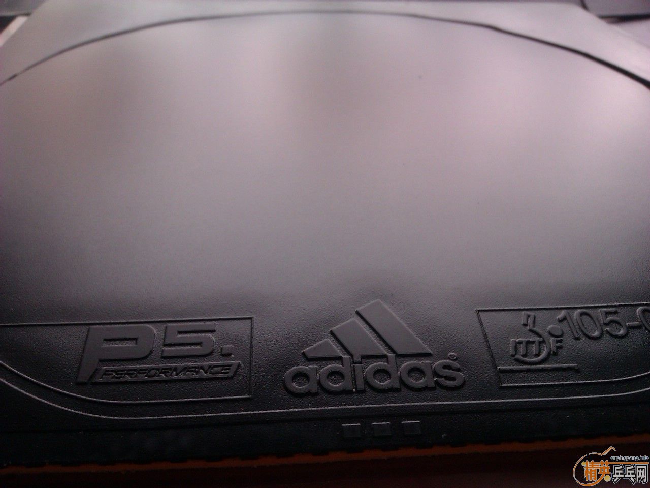 ���һ������ ��ϵ���⺣���׽� ����P5 �� TENZONE