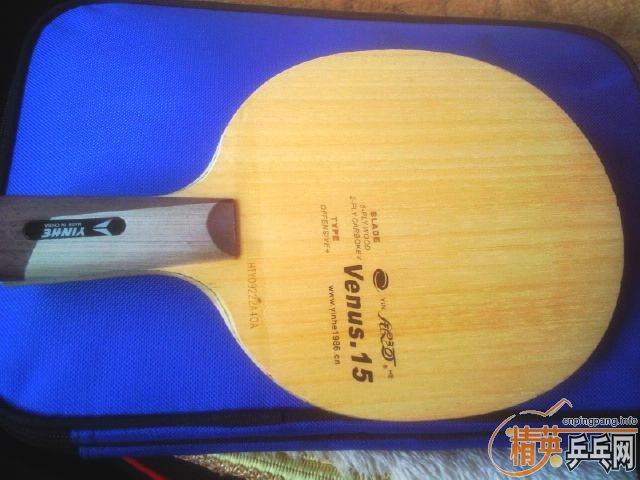 ֱ������V15����